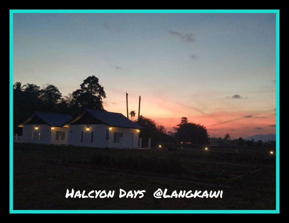 Apartamento Halcyon Days @ Langkawi Pantai Cenang  Exterior foto
